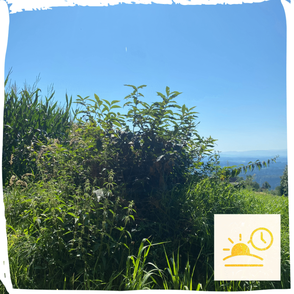 Landschaft in der Weststeiermark