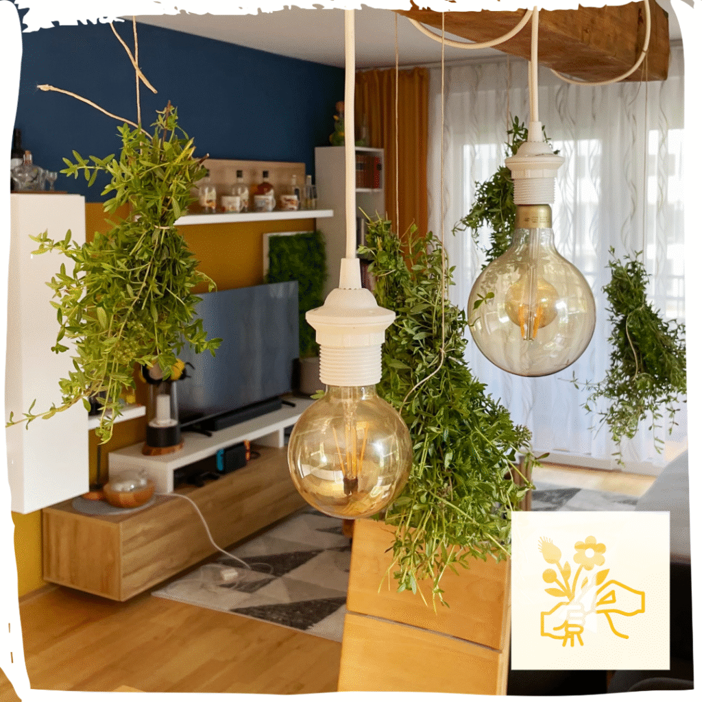 Kräuterbüschel trocknen